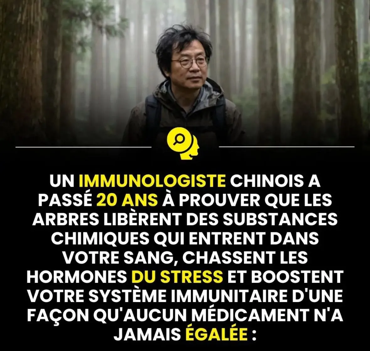 Image du post LinkedIn vérifié