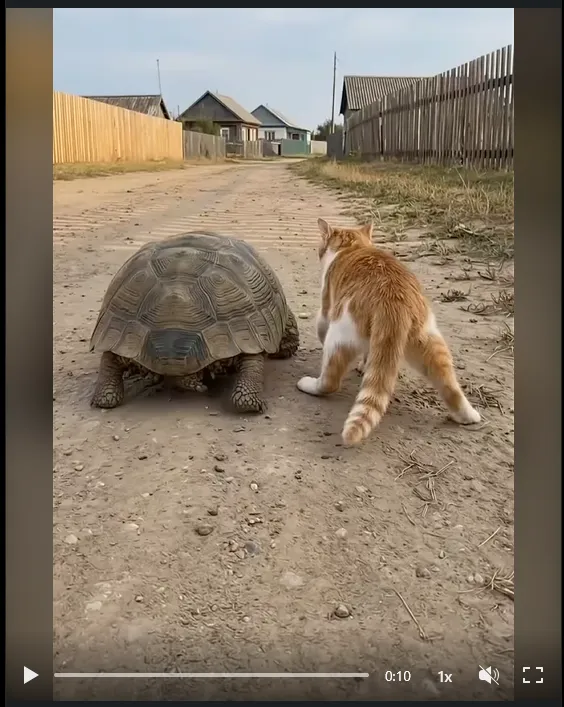 Image du post LinkedIn vérifié