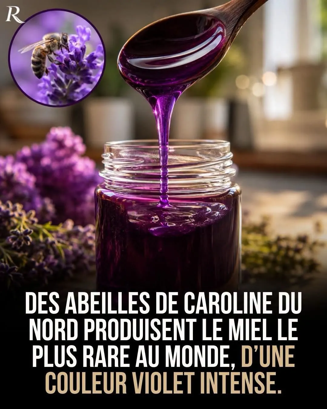 Illustration du post LinkedIn : Du miel violet existe