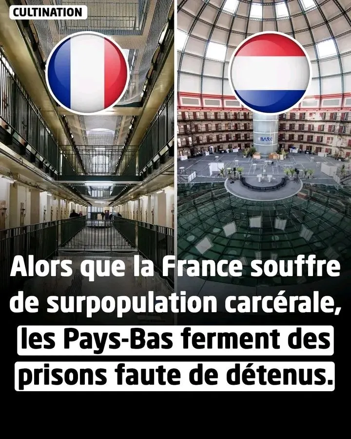 Image du post LinkedIn vérifié