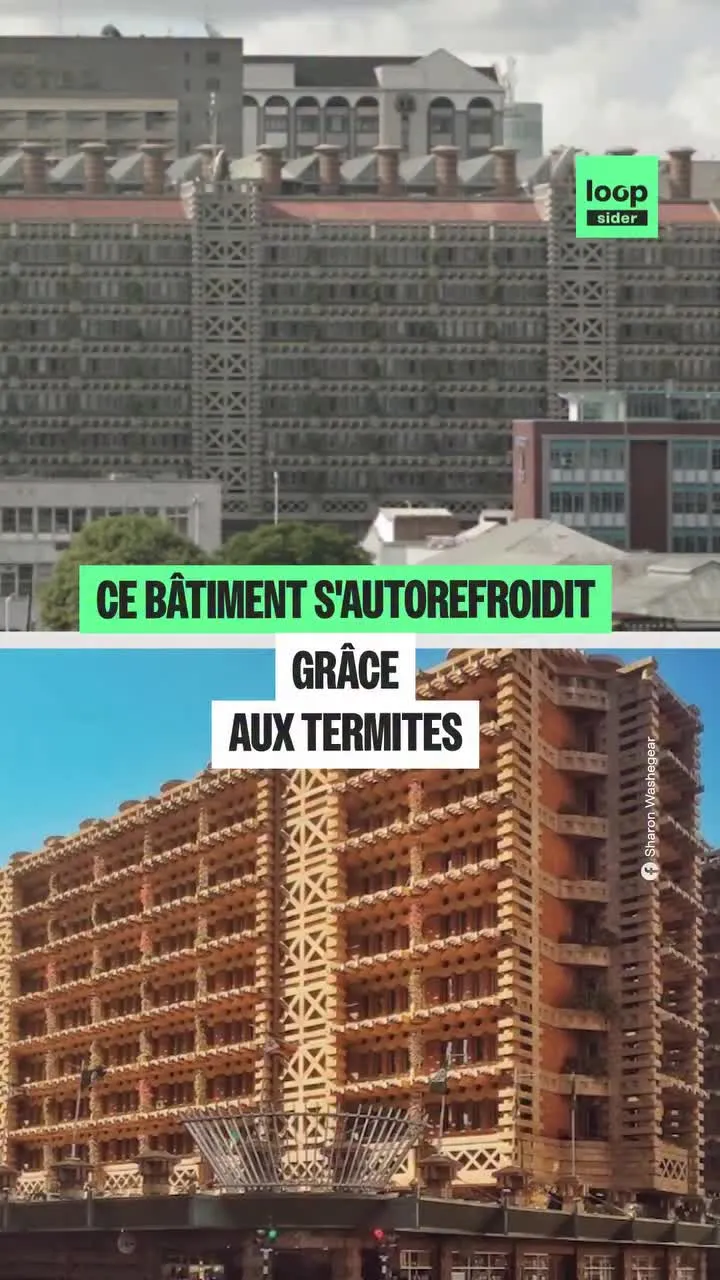 Image du post LinkedIn vérifié