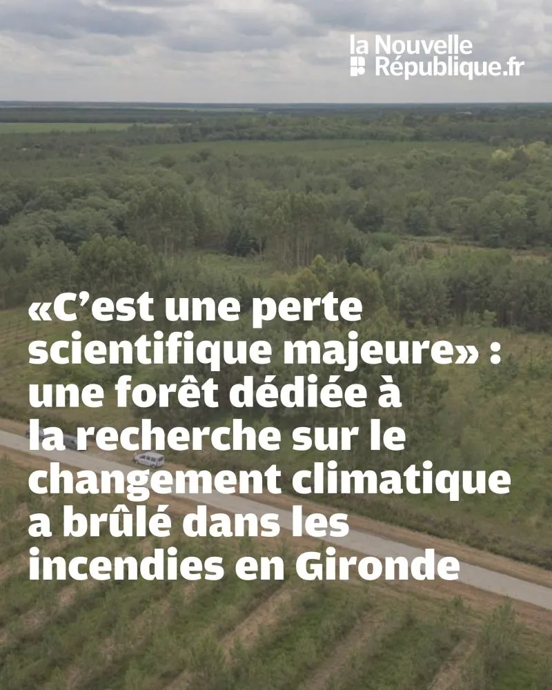 Illustration du post LinkedIn : Un arboretum a brûlé en Gironde