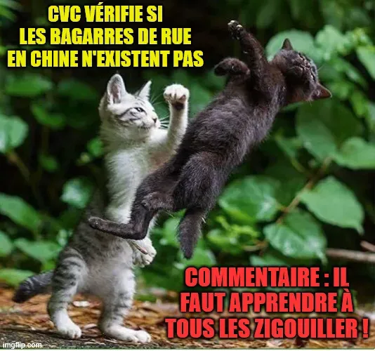 Mème 17