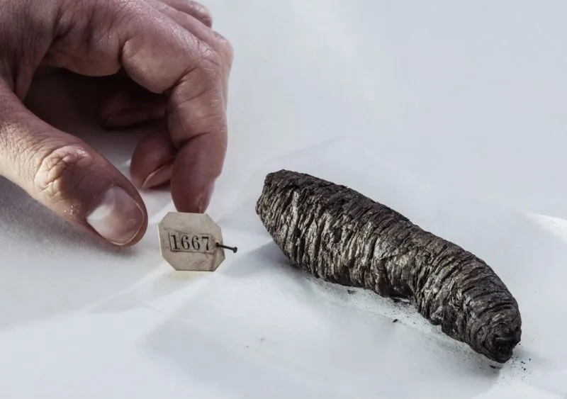 Image du post LinkedIn vérifié