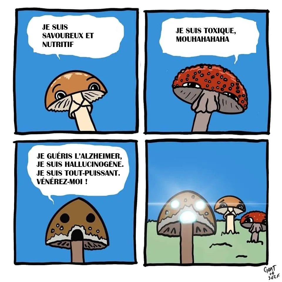 Mème 1