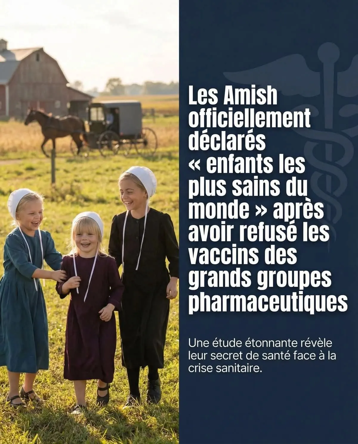 Image du post LinkedIn vérifié