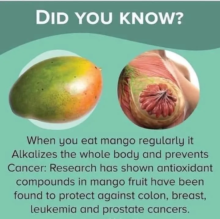 Illustration du post LinkedIn : ⚠ La mangue protège du cancer
