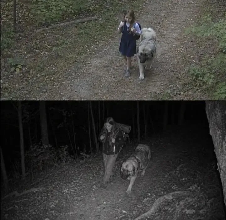 Illustration du post LinkedIn : ❌ Après le décès de son père, cette fille s'est enfuie dans la forêt avec son chien et a disparu