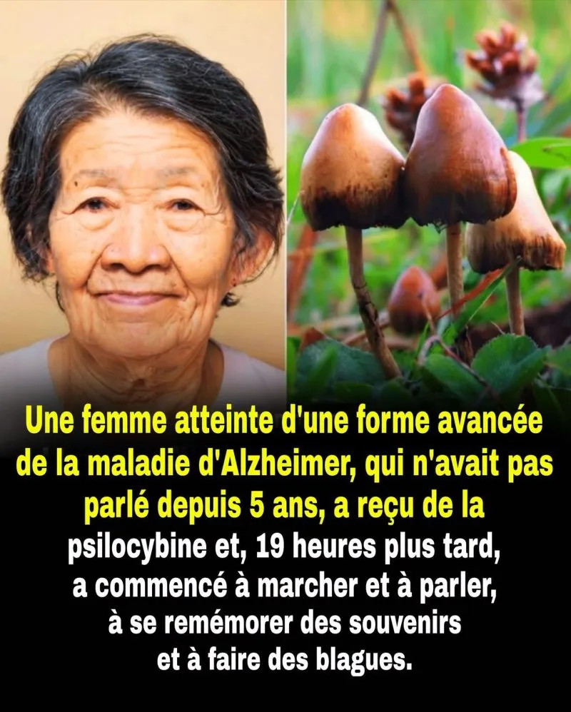 Image du post LinkedIn vérifié