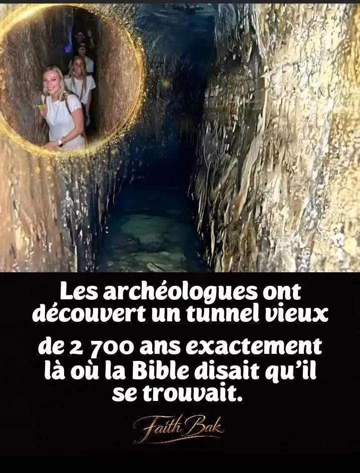Image du post LinkedIn vérifié