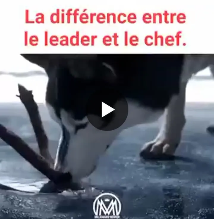 Image du post LinkedIn vérifié