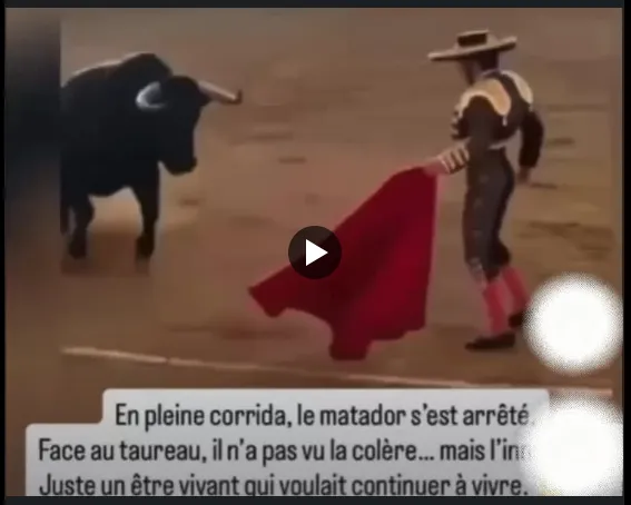 Image du post LinkedIn vérifié