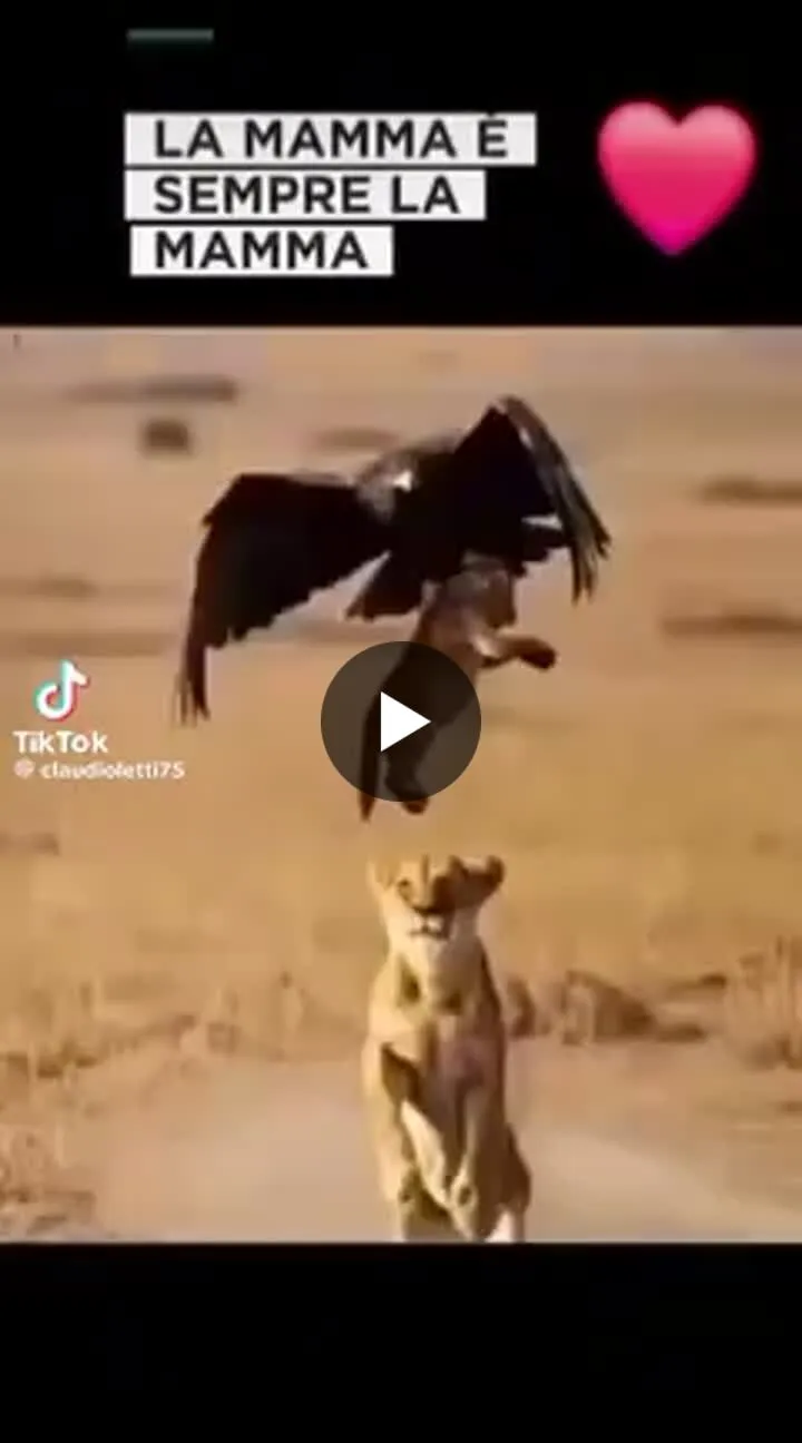 Image du post LinkedIn vérifié