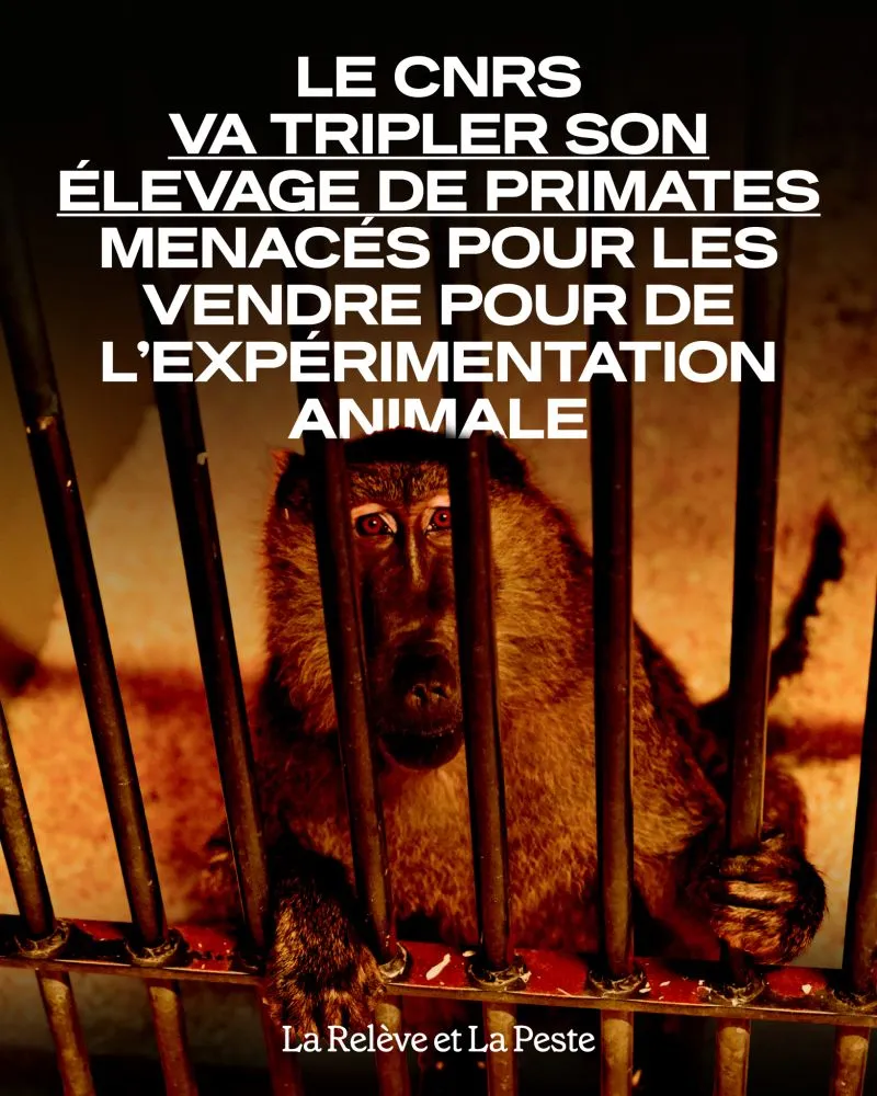 Image du post LinkedIn vérifié