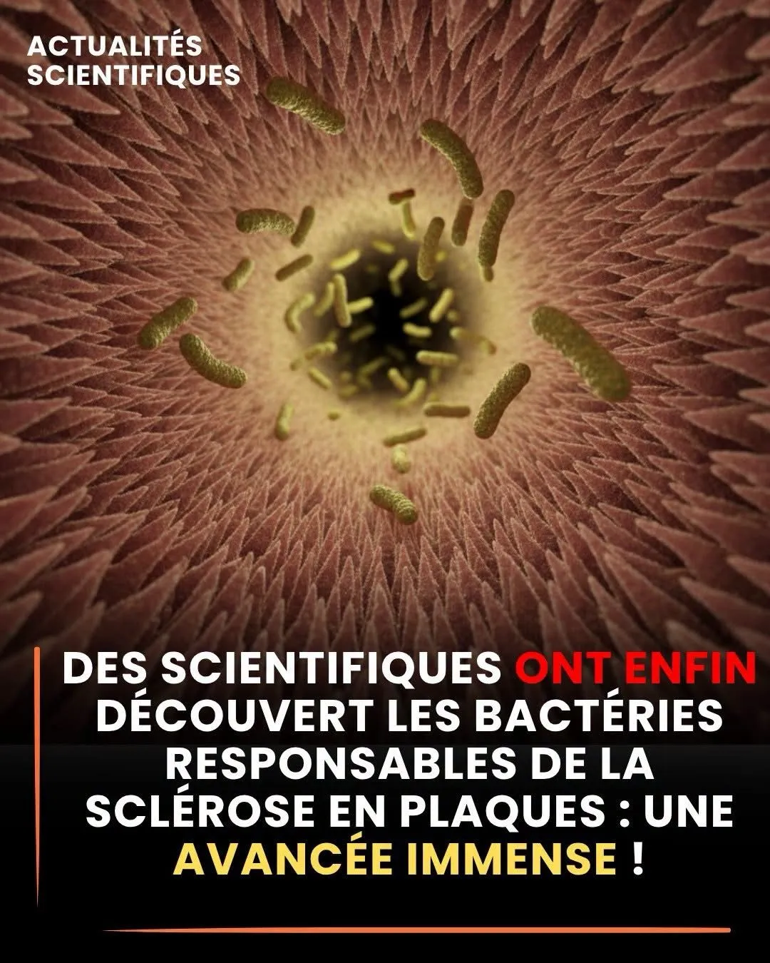 Image du post LinkedIn vérifié