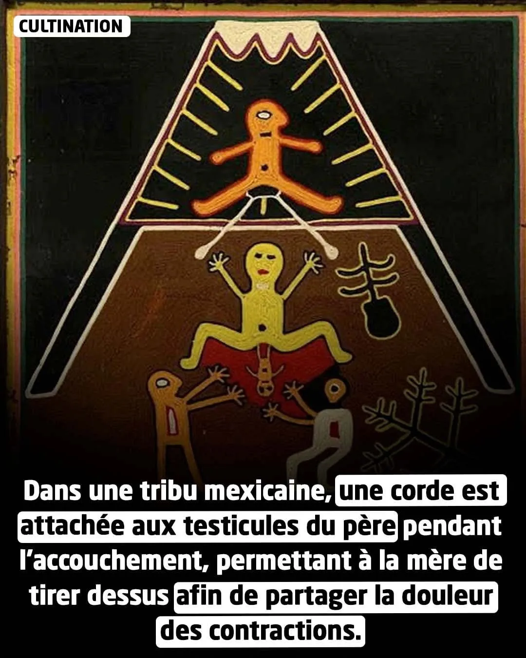 Illustration du post LinkedIn : 🤔 Dans la tribu Huichol, la femme pouvait tirer sur les couilles de son conjoint pour partager la douleur pendant l'accouchement