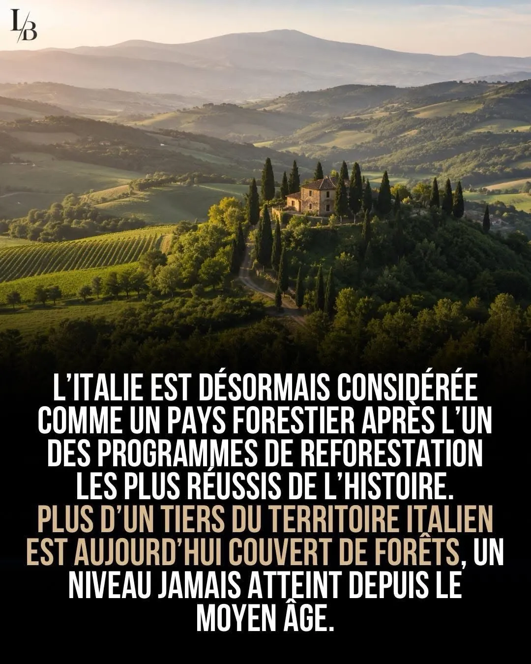 Image du post LinkedIn vérifié