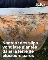 Image du post LinkedIn vérifié