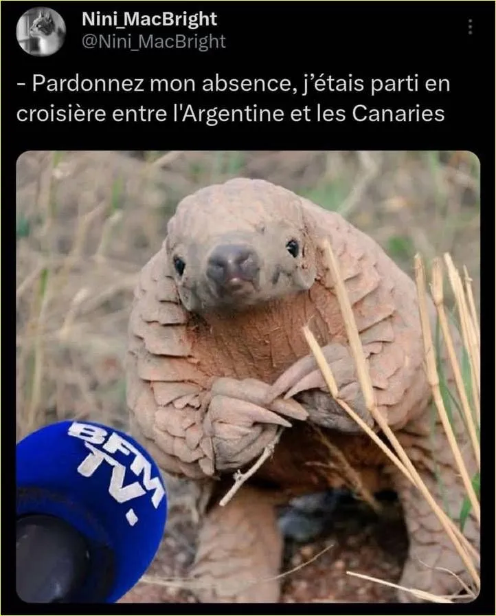 Mème 8
