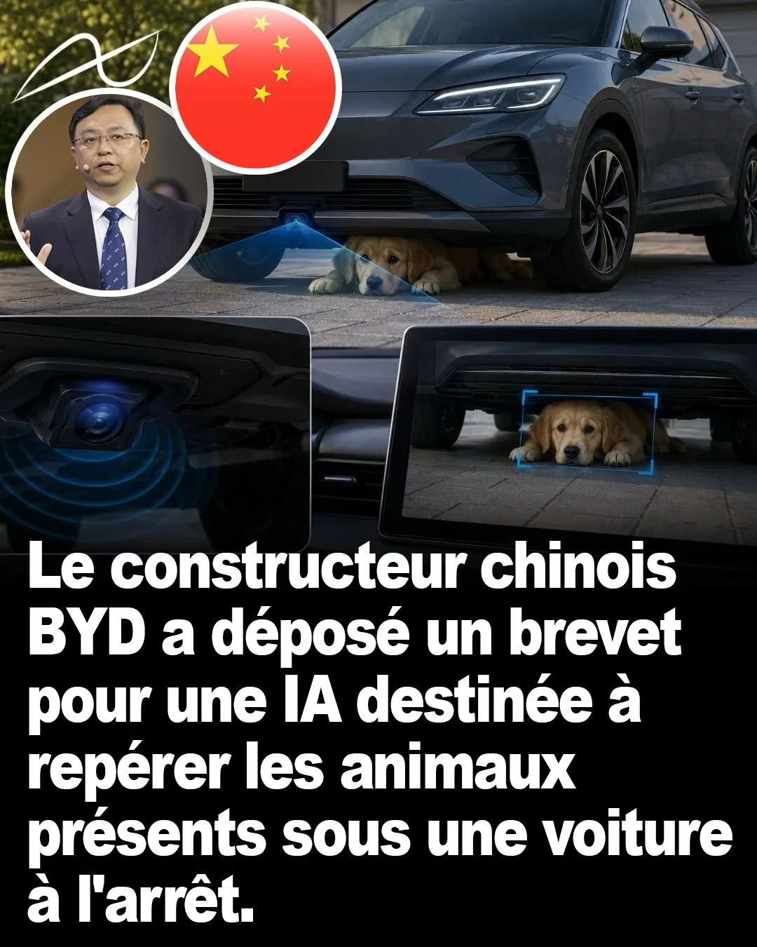 Illustration du post LinkedIn : ✅ BYD dépose le brevet d'une technologie détectant les êtres vivants cachés sous une voiture