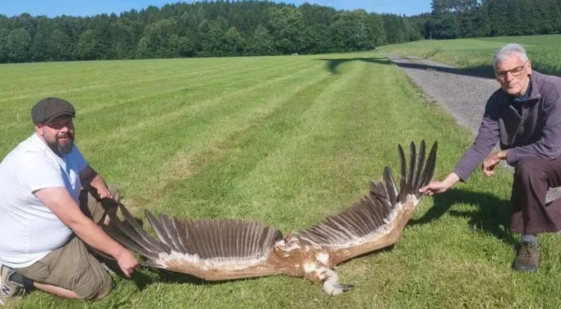 Image du post LinkedIn vérifié