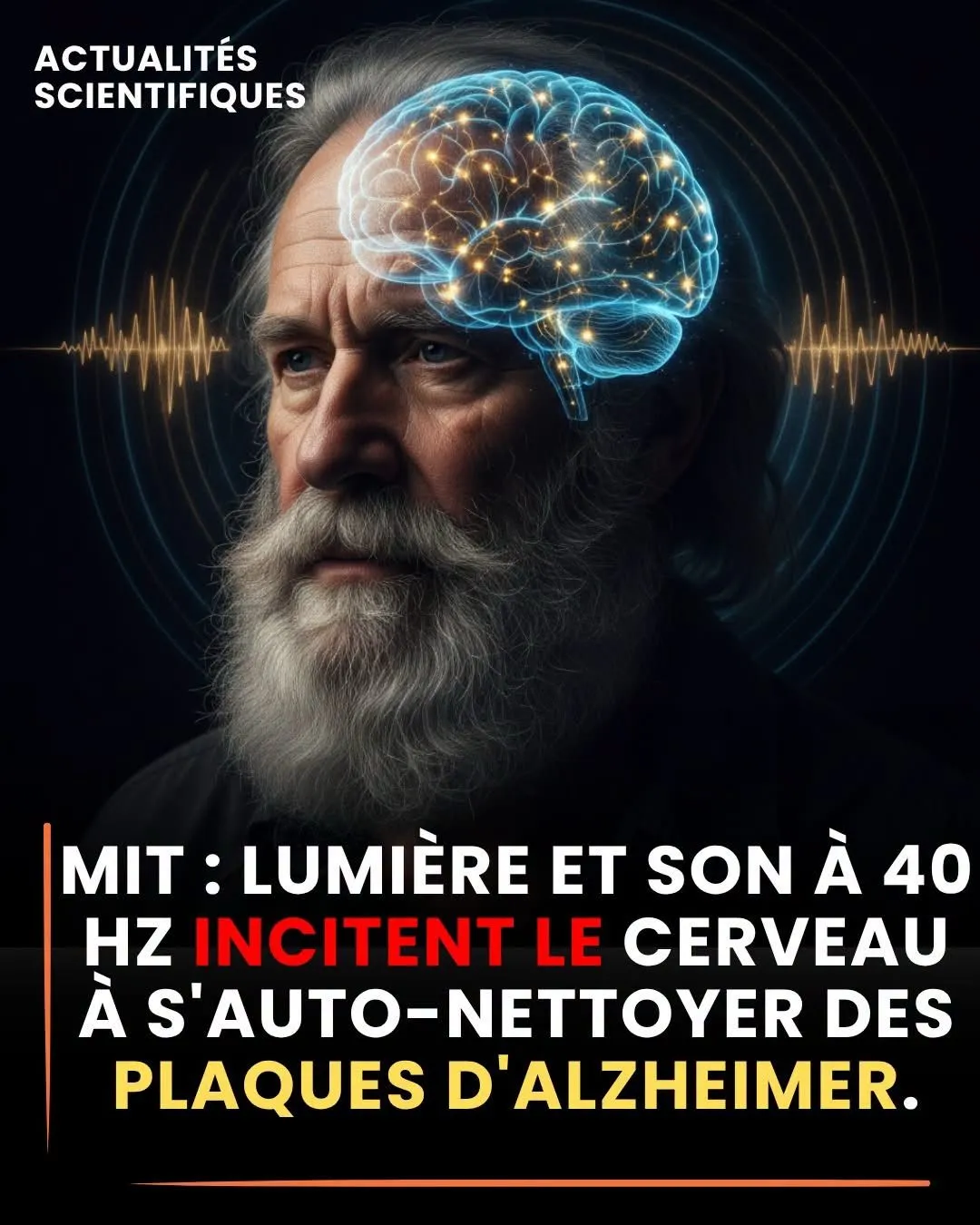 Image du post LinkedIn vérifié