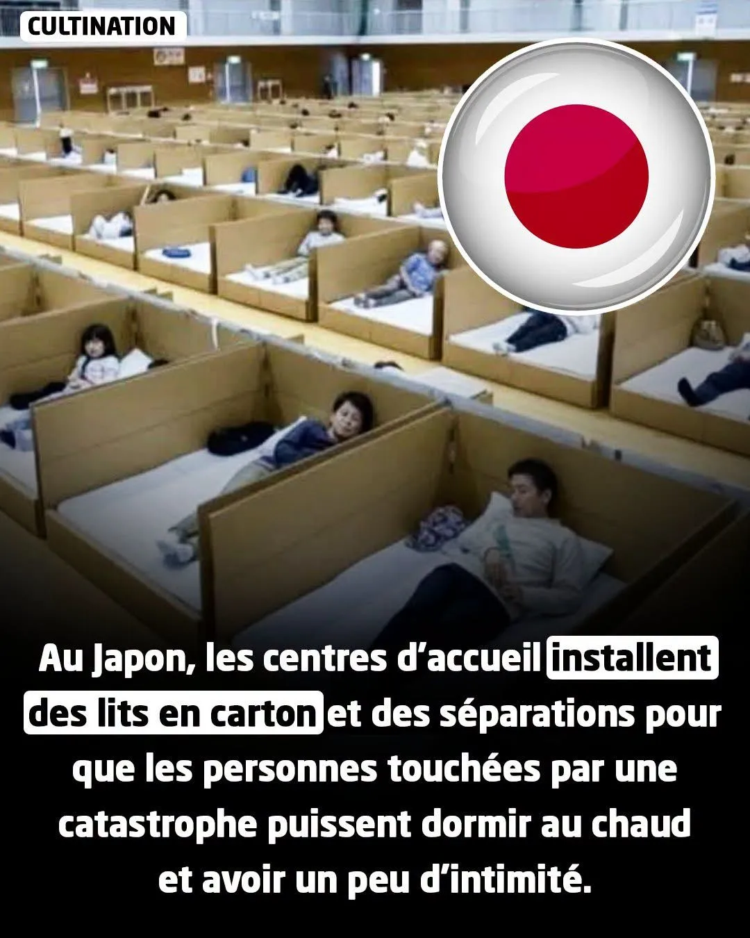 Illustration du post LinkedIn : Au Japon, des lits en carton pour les victimes de catastrophe