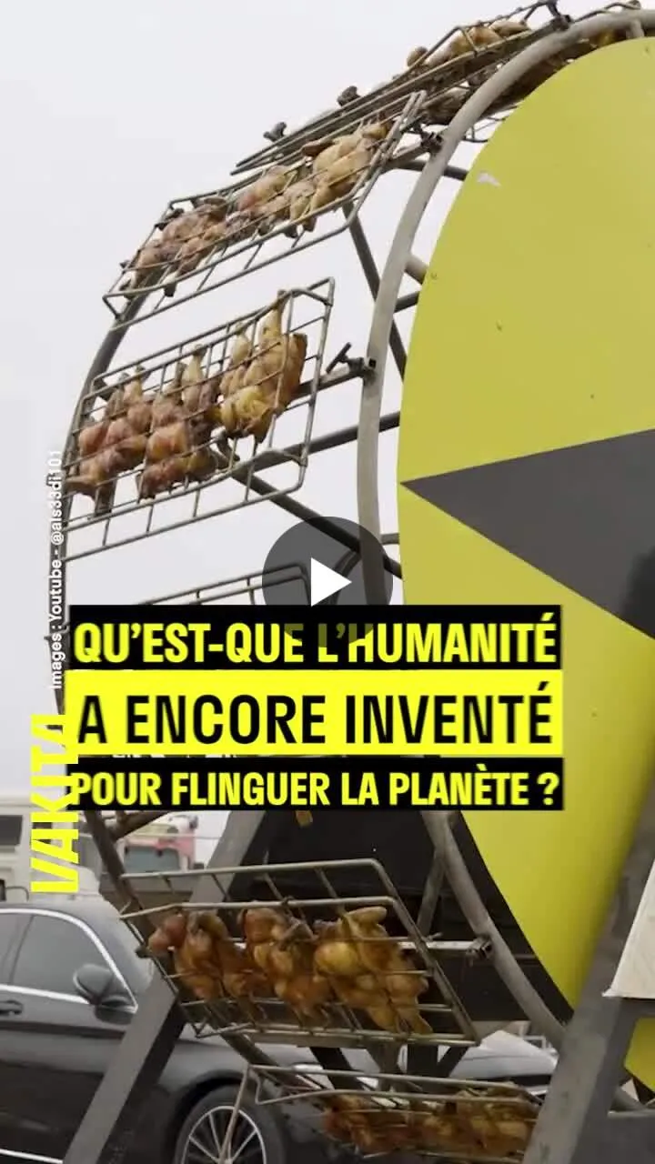 Illustration du post LinkedIn : Une montagne russe pour poulets