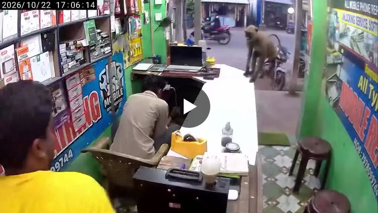 Image du post LinkedIn vérifié