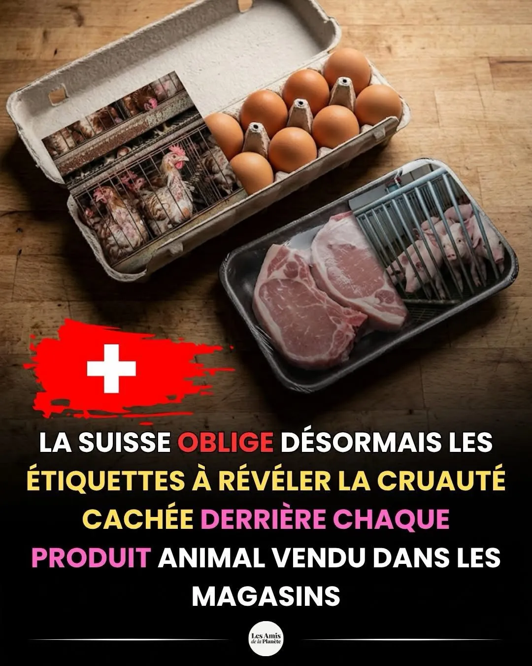 Illustration du post LinkedIn : ❗ En Suisse les produits d'origine animale doivent signaler si les animaux ont été maltraités