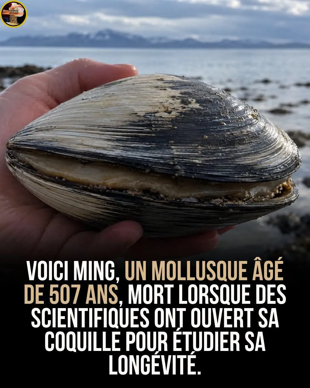 Image du post LinkedIn vérifié