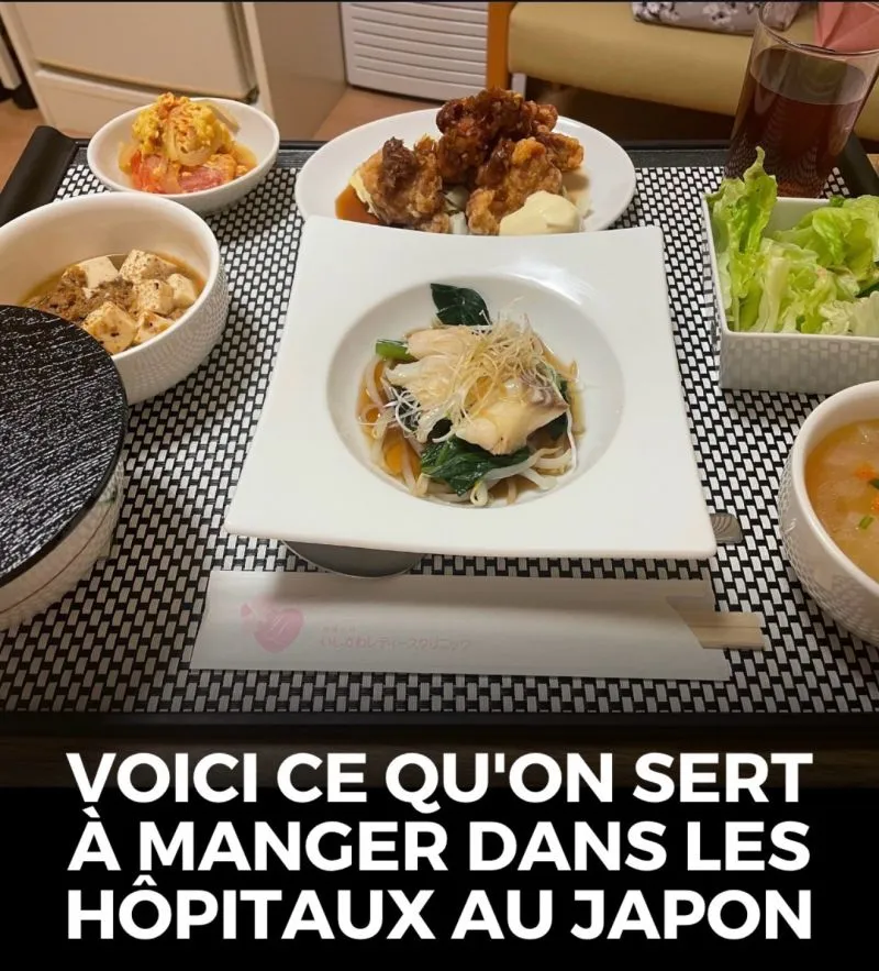 Illustration du post LinkedIn : Les repas dans les hopitaux japonais sont vraiment délicieux