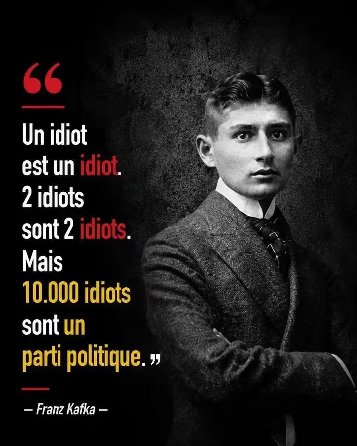 Illustration du post LinkedIn : Citation de Kafka sur les idiots