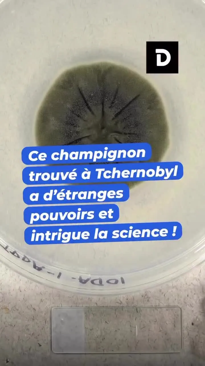 Image du post LinkedIn vérifié