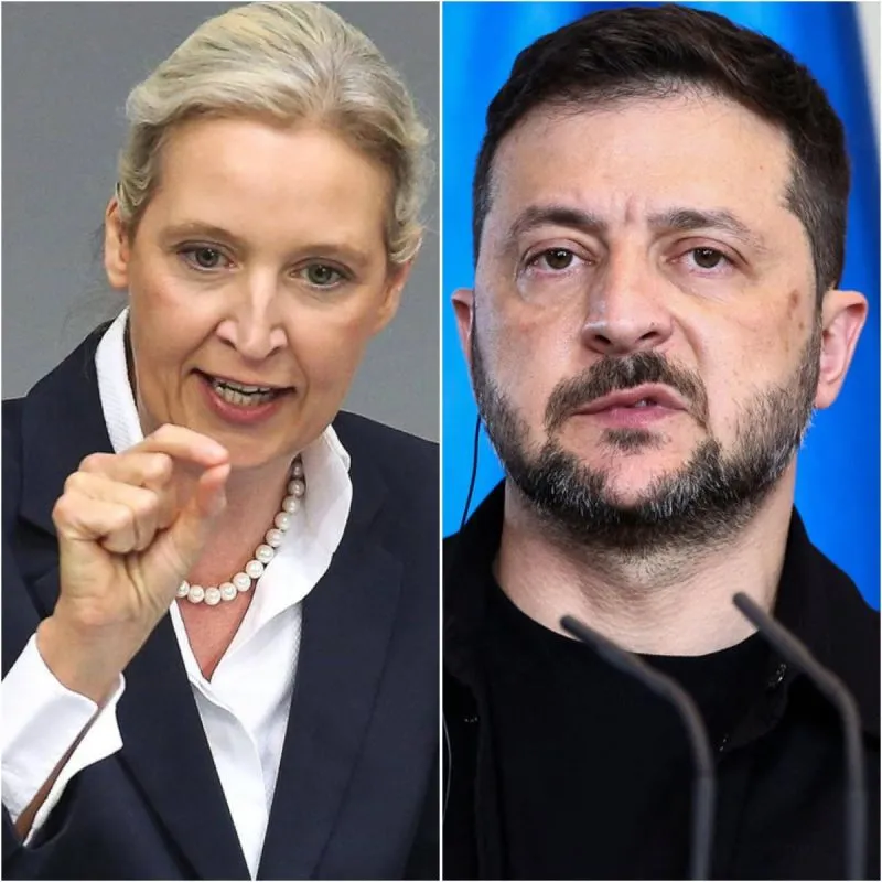 Illustration du post LinkedIn : ❌ Alice Weider (AfD) a publié les comptes offshore de Zelensky