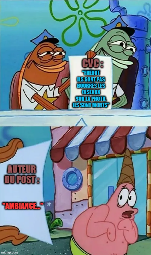 meme