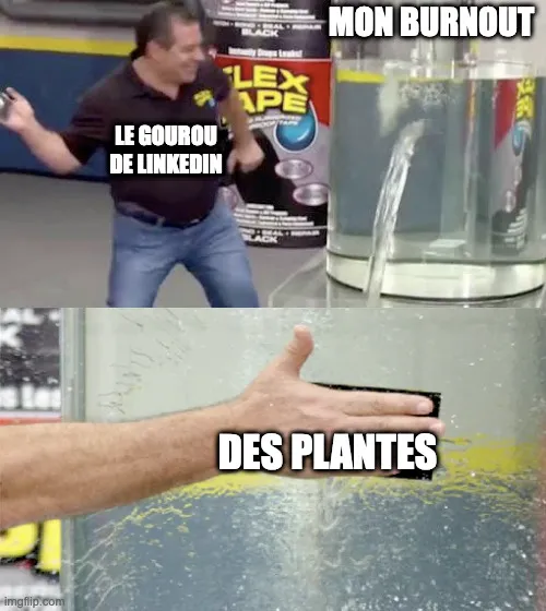 meme