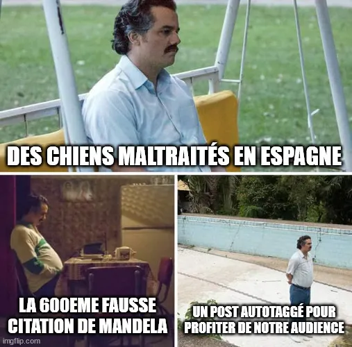 meme