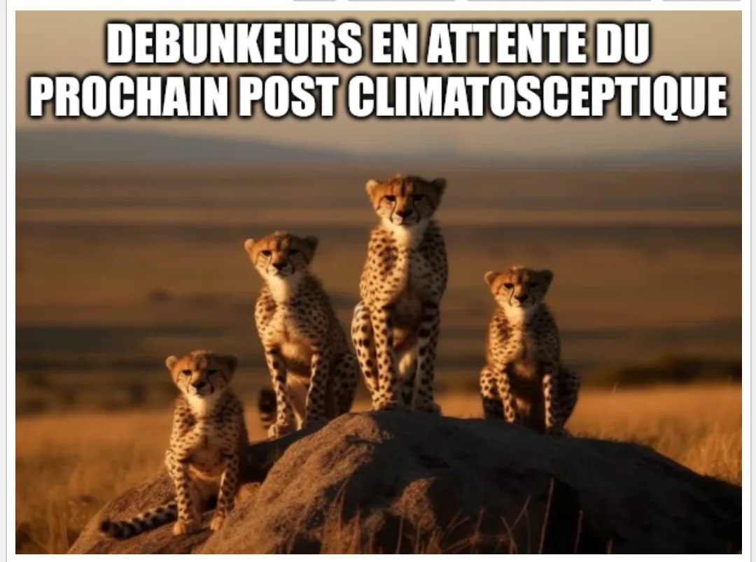 meme