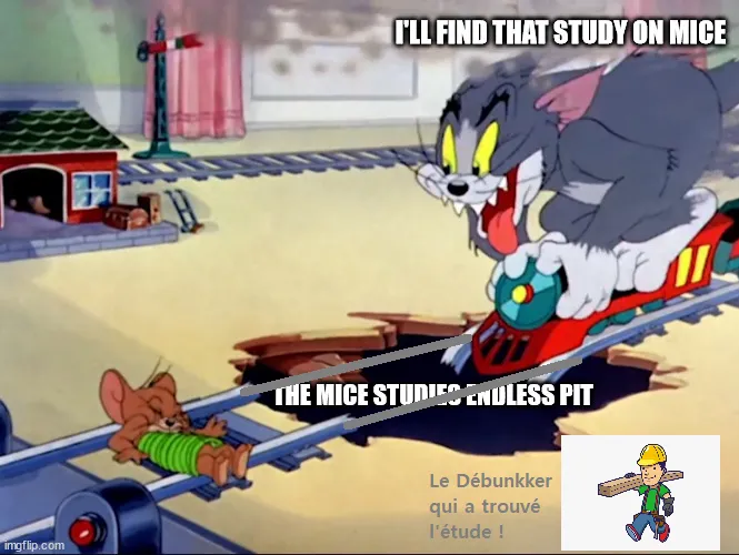 meme
