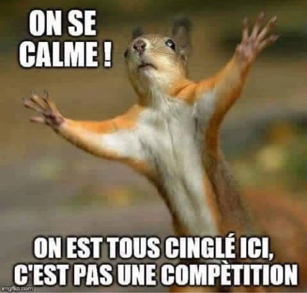 meme