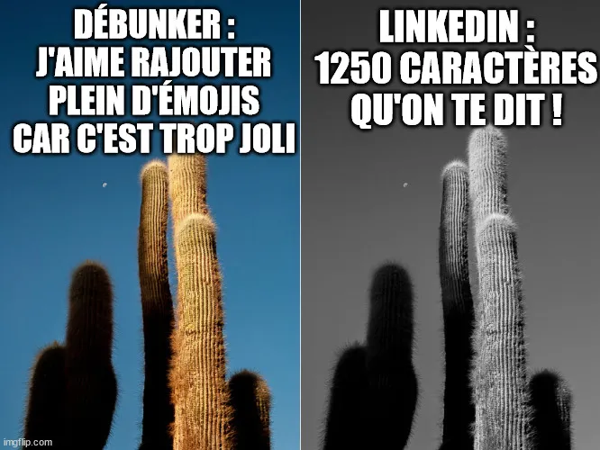 meme