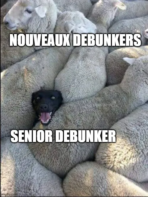 meme