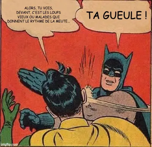 meme