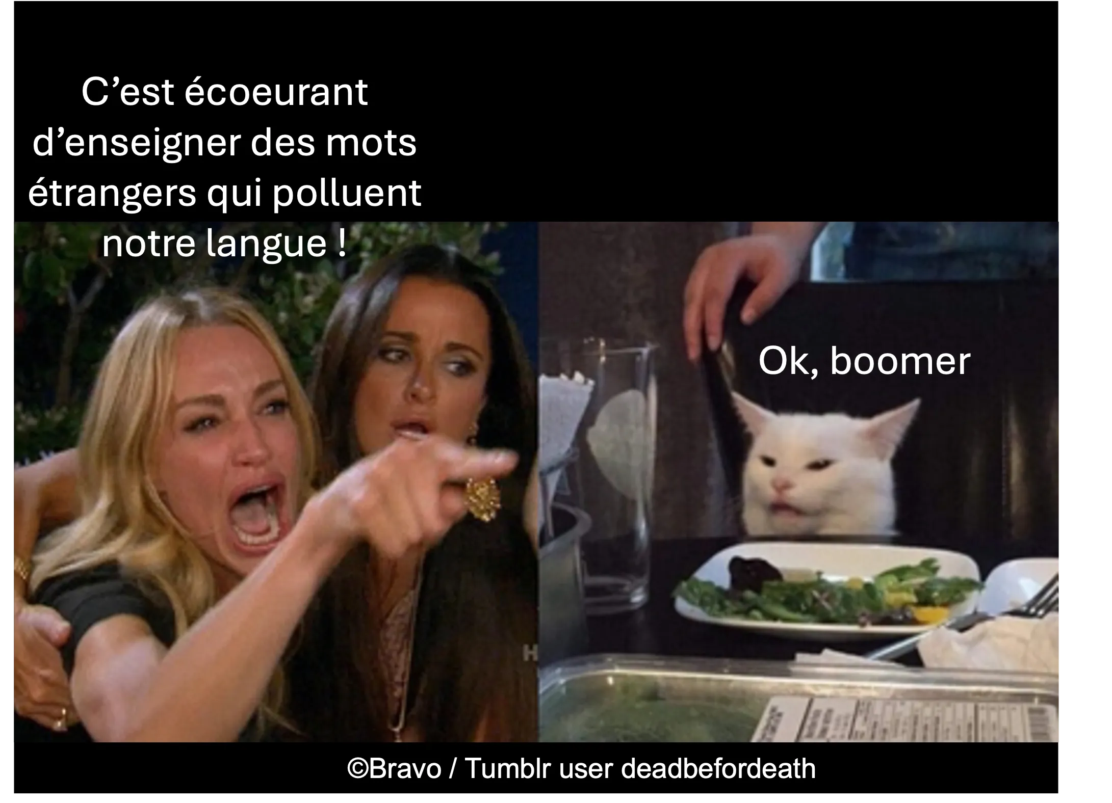meme