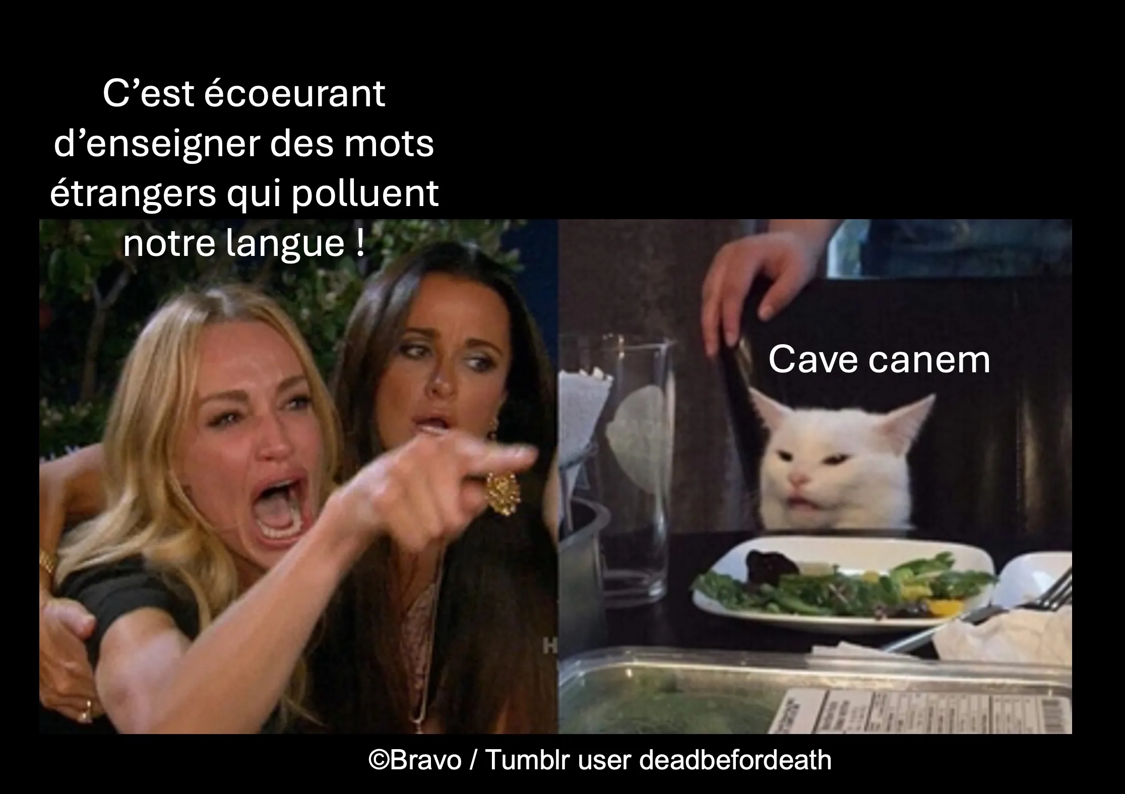 meme