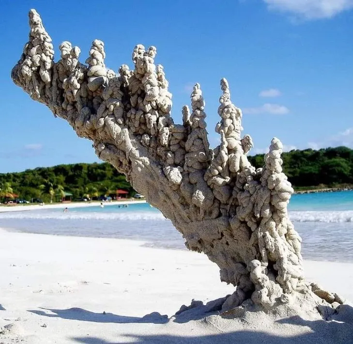 Image: Les sculptures de sable