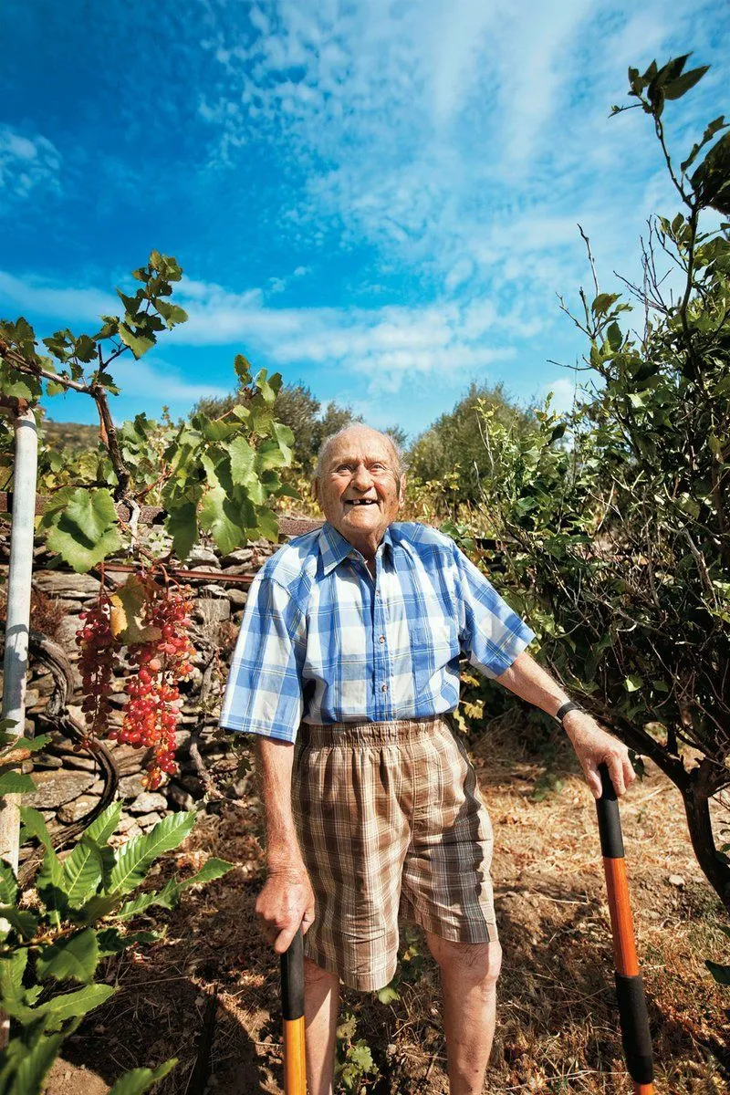 Image: Rémission d'un cancer grâce au vin grec et aux potes
