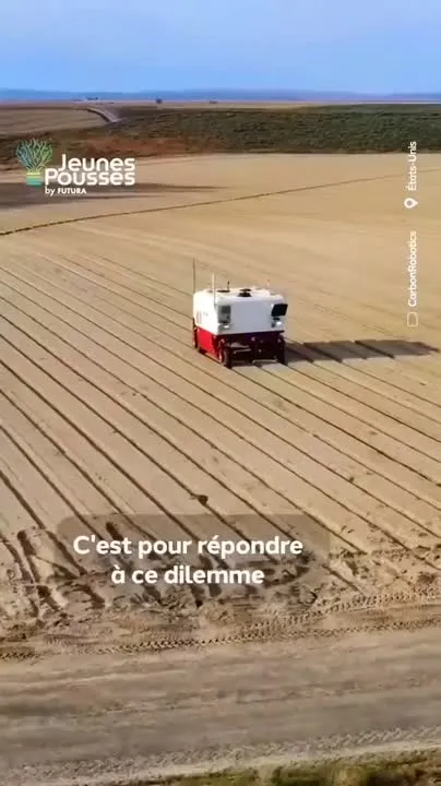 Image: Une IA et un laser pour éliminer les mauvaises herbes sans herbicide.