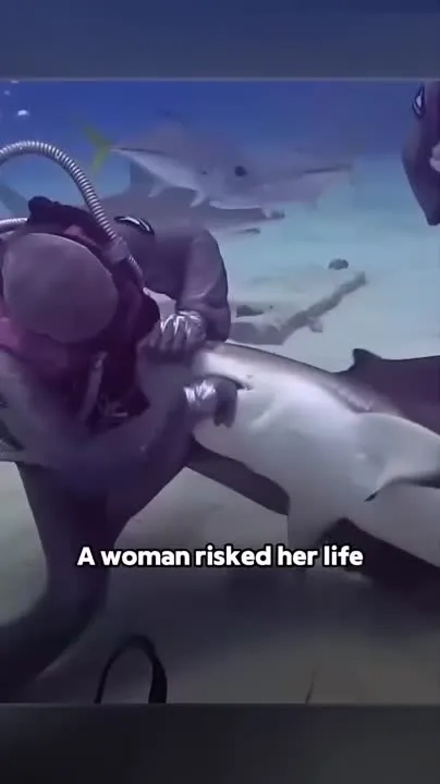 Image: Cristina a retiré 300 hameçons de la bouche de requins, un bel exemple d'empathie